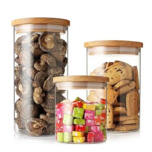 Borosilicate Glass Storage Jars with Bamboo Lids (Set of 3)